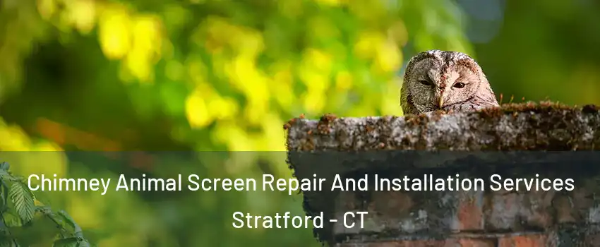  Chimney Animal Screen Repair And Installation Services Stratford - CT