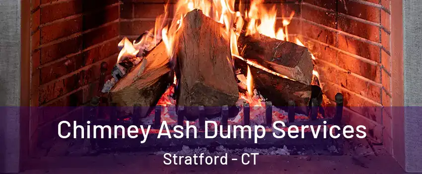  Chimney Ash Dump Services Stratford - CT