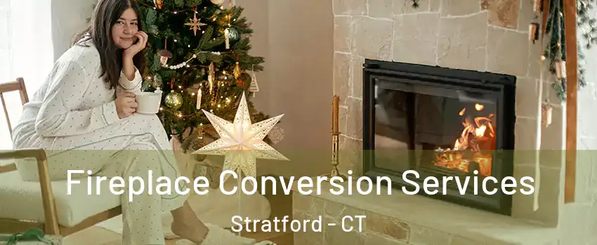 Fireplace Conversion Services Stratford - CT