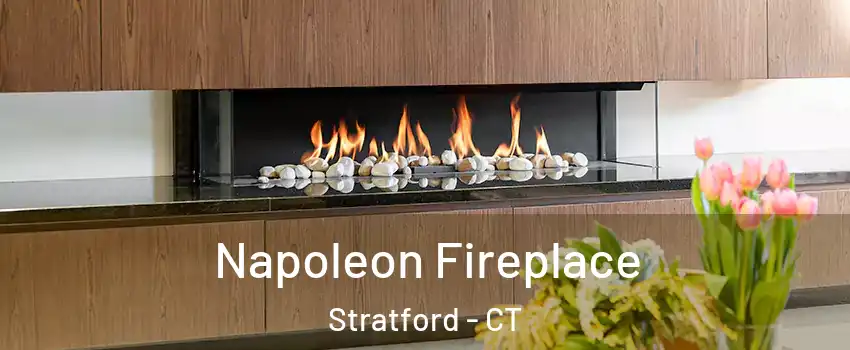  Napoleon Fireplace Stratford - CT